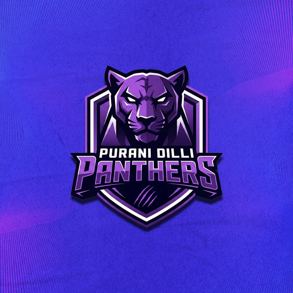 Purani Dilli Panthers